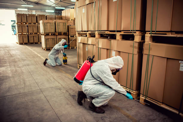 Best Exterminator Services  in Chesterbrook, PA