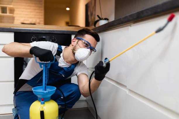 Best Wasp Removal Services  in Chesterbrook, PA