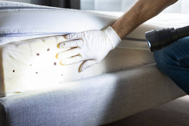 Best Residential Pest Control  in Chesterbrook, PA