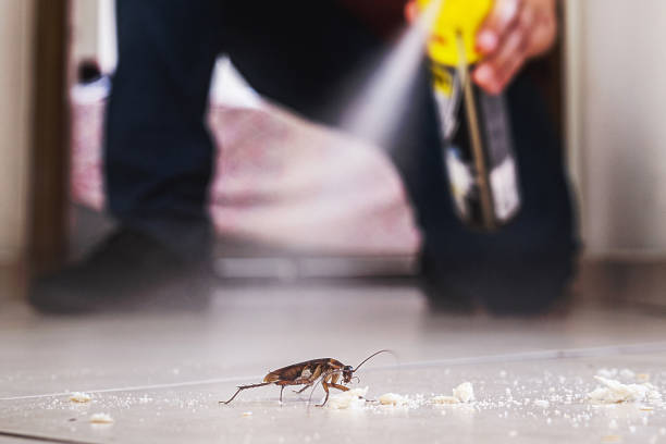 Best Exterminator Services  in Chesterbrook, PA